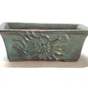 Maceta rectangular con imagen de dragón 🐉