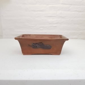 Maceta rectangular con imagen de dragón 🐉